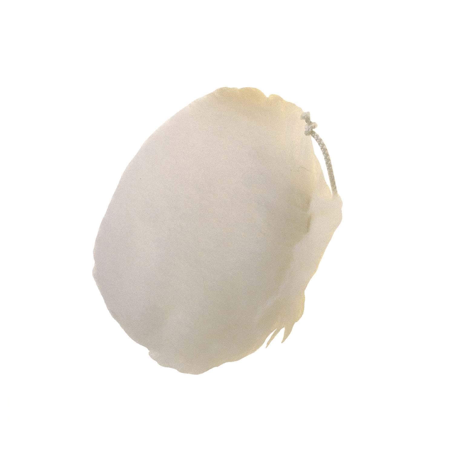 20111778